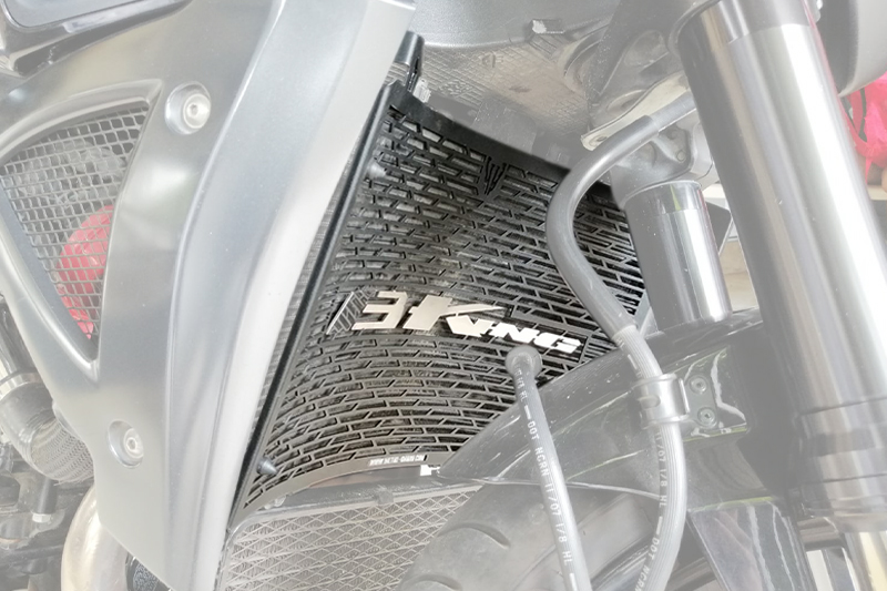 [PSU0123862] PROTECTOR RADIADOR SUZUKI B-KING (Plateado)